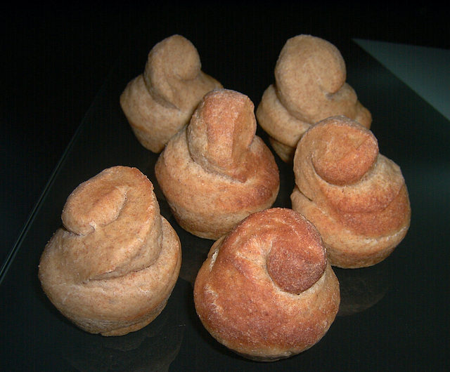 Overnight Whole Wheat Rolls