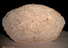 No-Knead (Meergranen) Bread 3