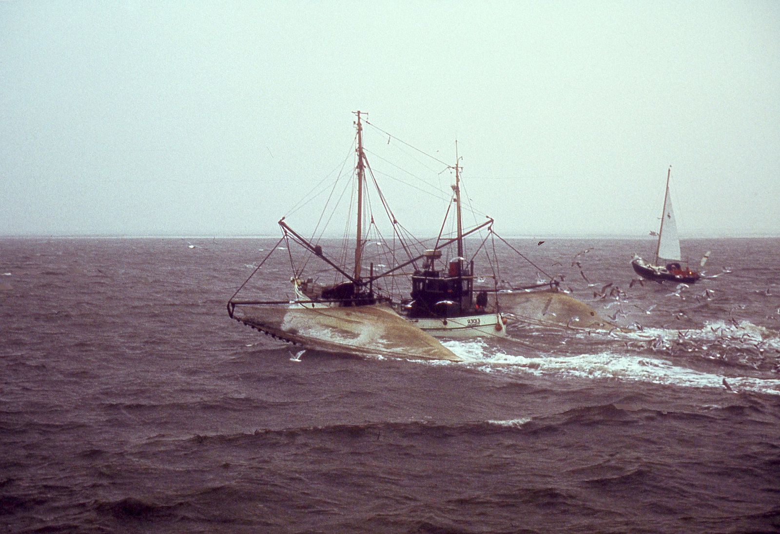 Fischerboot mit Möwen.......