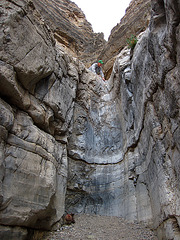 Scott In Fall Canyon (4244)