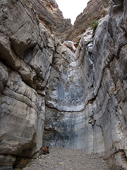 Fall Canyon (4242)