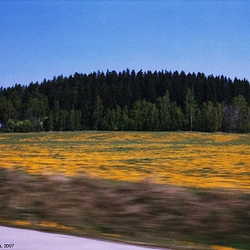 Road To Lipno, Sumavsky Narodni Pamatka, Bohemia(CZ), 2007