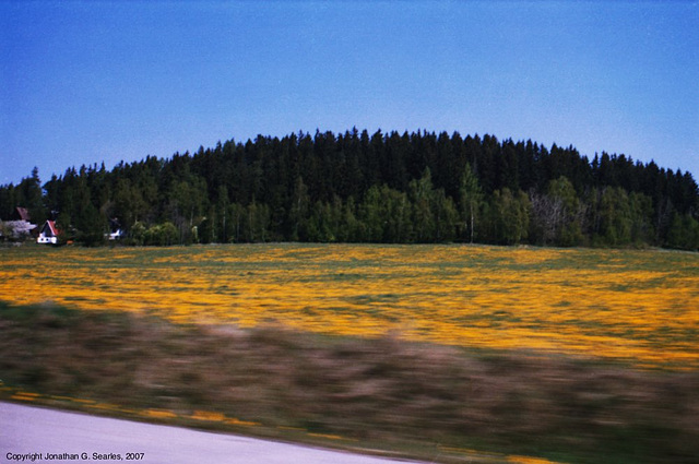 Road To Lipno, Sumavsky Narodni Pamatka, Bohemia(CZ), 2007