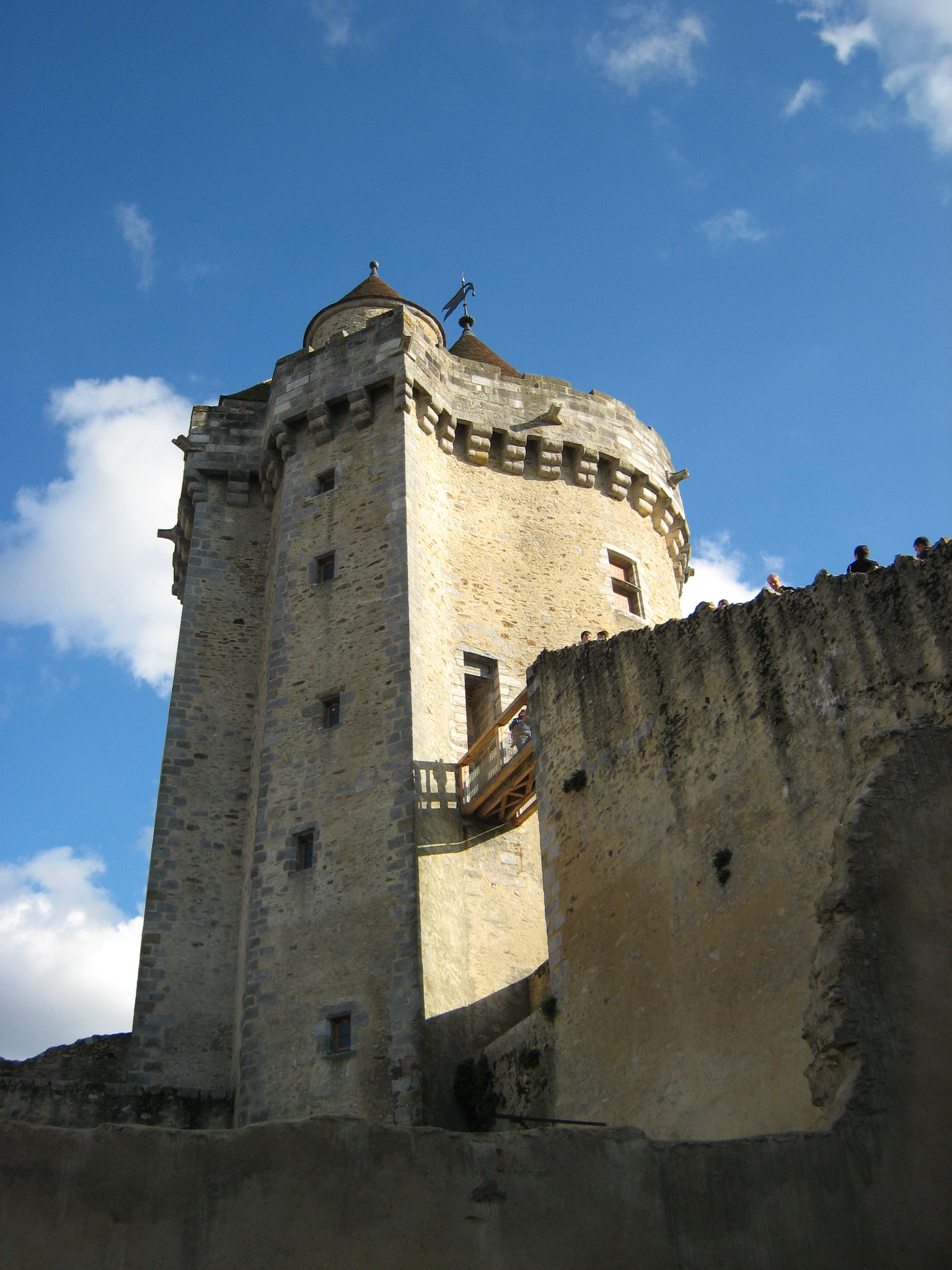 Château de Blandy - Le donjon