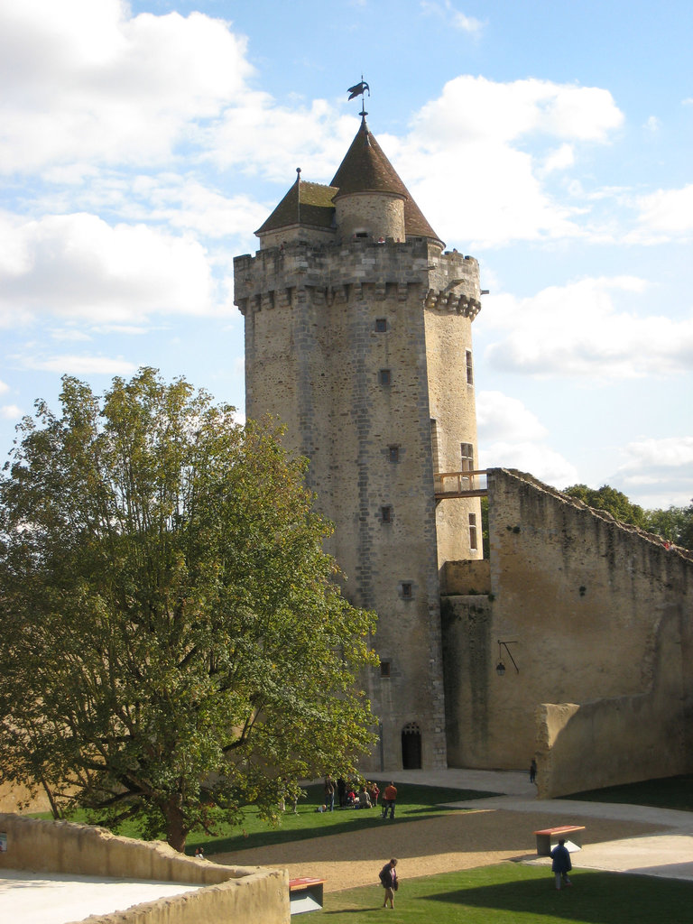 Château de Blandy - Le donjon