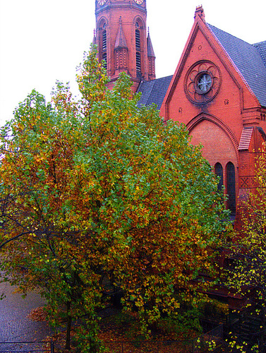 Herbstbaum mit Kirche