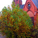 Herbstbaum mit Kirche