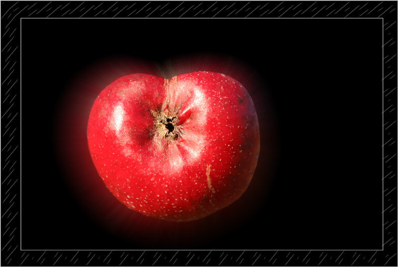 Red Apple