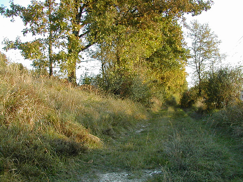 Chemin vert du Quercy blanc