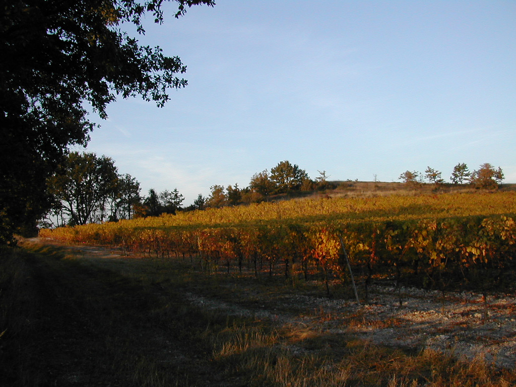 Coteaux du Quercy