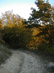 Chemin blanc en Quercy blanc