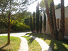 DSC07019