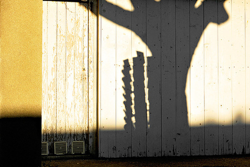 Shadow on the wall