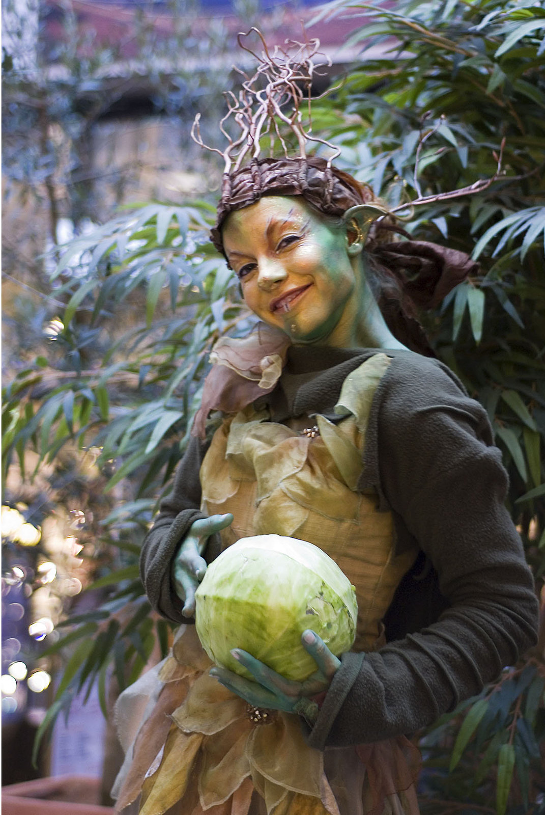 Cabbage elfin