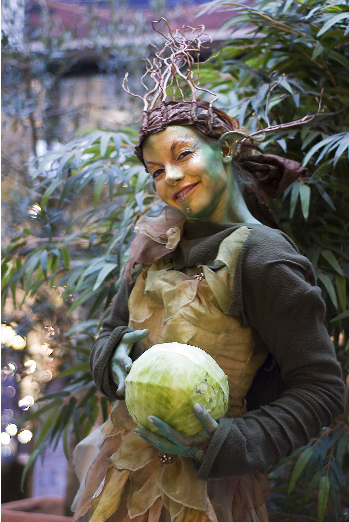 Cabbage elfin