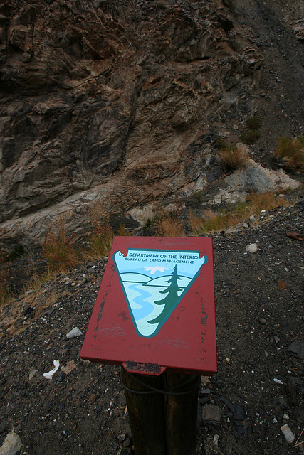 BLM Trail Log (9582)