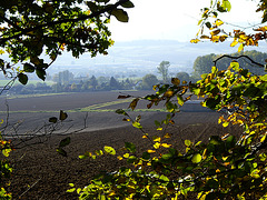 Blick vom Waldsaum auf die Bückeberge