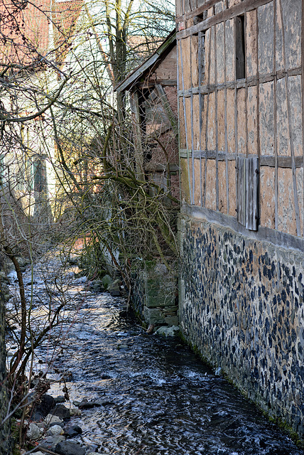 Elsbach - 130324