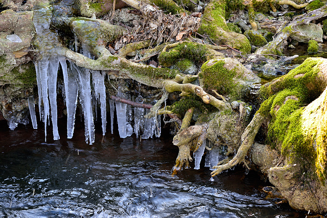 Stalaktiten - 130324