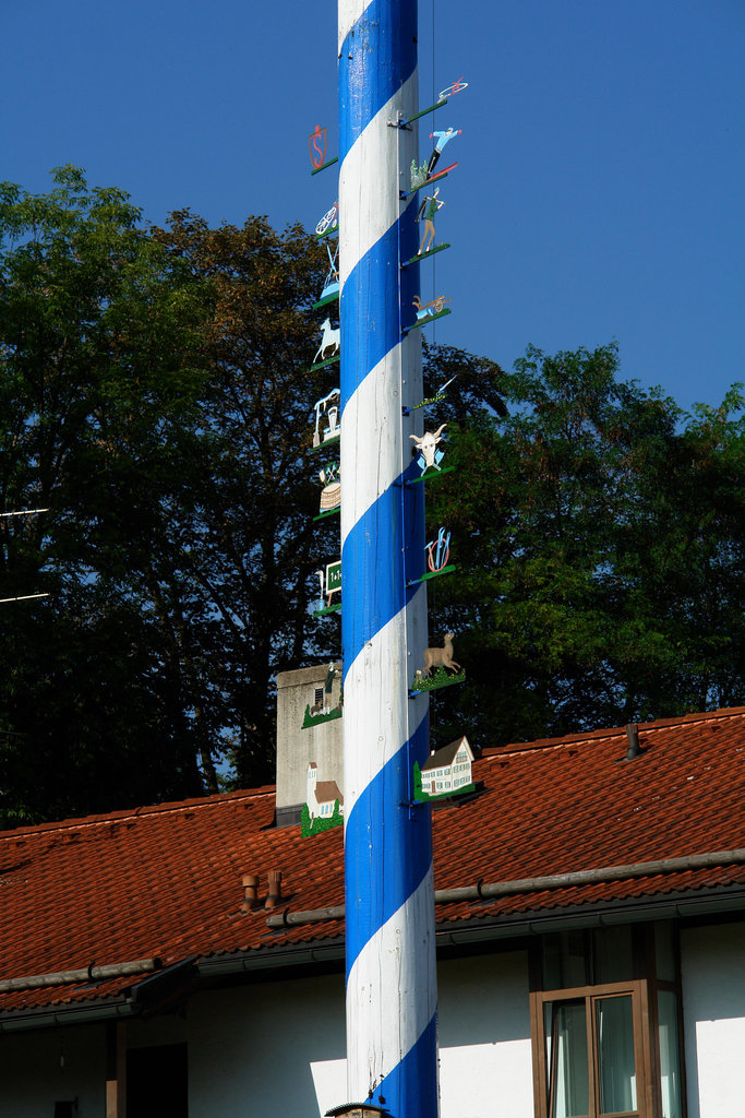 Icking - Maibaum (Detail)