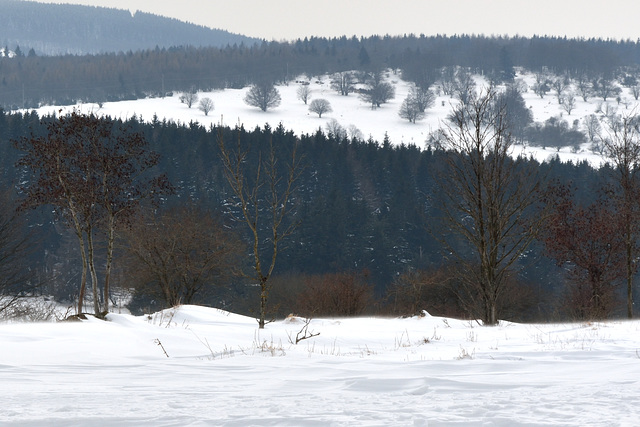 Hochrhön - 130323