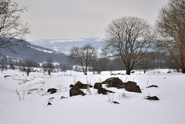 Hochrhön - 130323