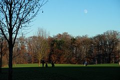 Golf course near Wolfratshausen