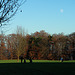 Golf course near Wolfratshausen