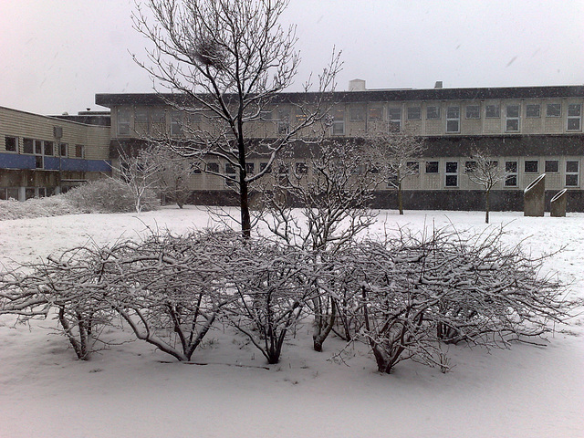 February in Esbjerg