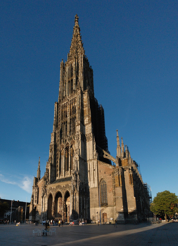 Münster Postcard