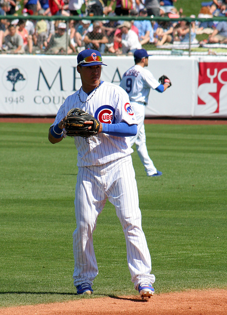 Chicago Cubs Player (9990)