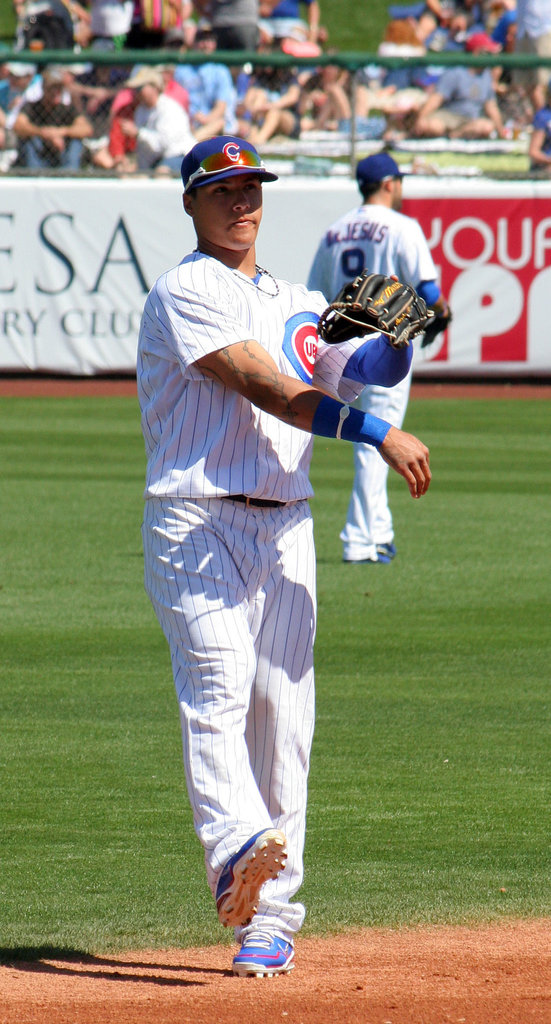 Chicago Cubs Player (9993)