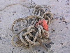 Gordischer Knoten - Strandgut 6