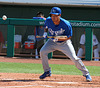 Kansas City Royals Batter (0237)