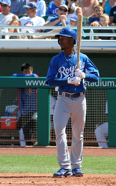 Kansas City Royals Batter (0239)