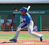 Kansas City Royals Batter (0248)