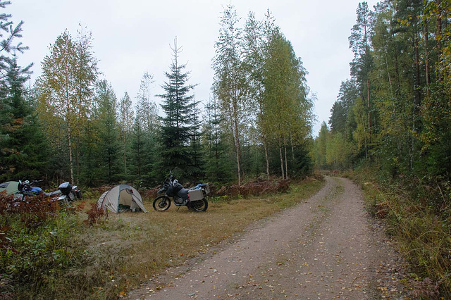 Im Wald in Finnland ist übrigens _ERLAUBT_!