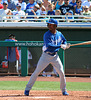 Kansas City Royals Batter (0250)