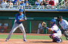 Kansas City Royals Batter (0595)