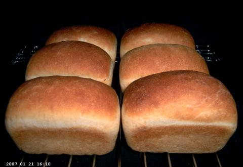 6 Turnipseed Sisters' White Loaves