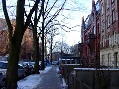 My street in winter