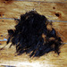 Day #023 - haircut (after)