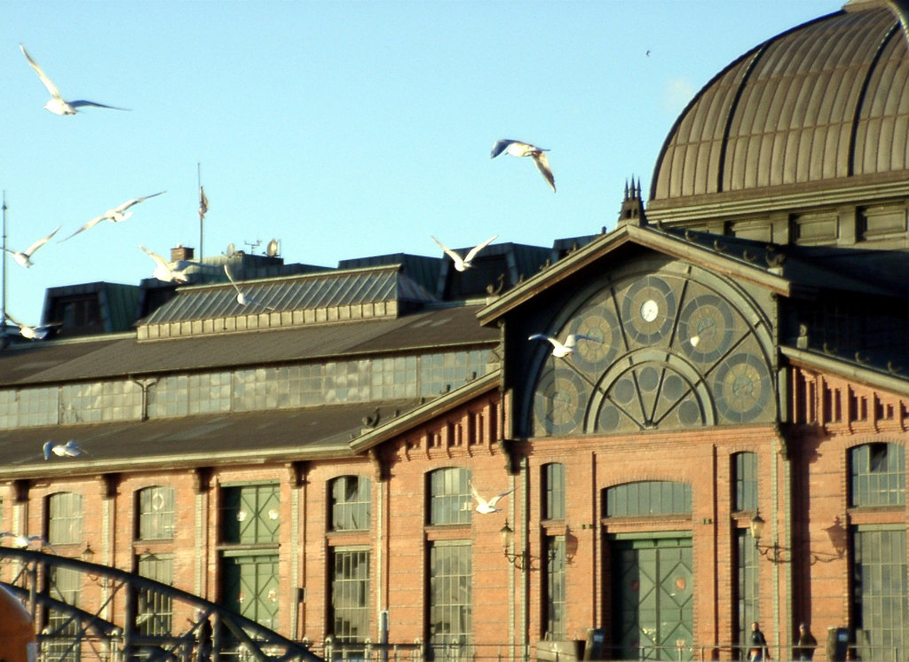 Fischauktionshalle with Gulls