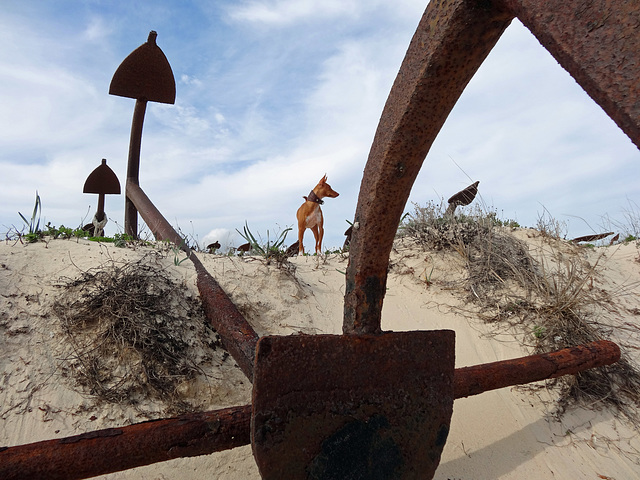 Barril beach Algarve