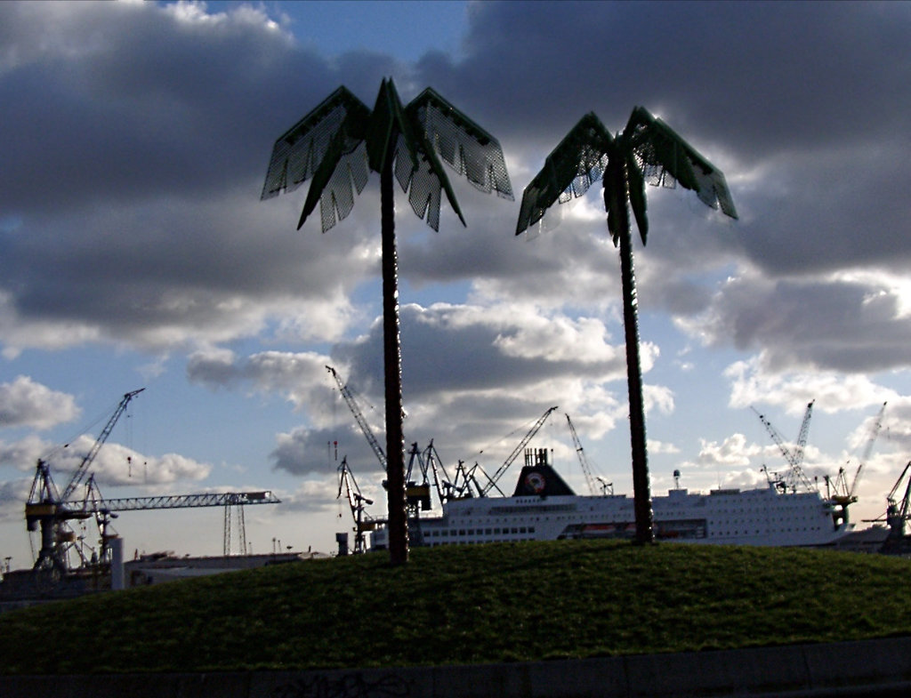 Cocos-Palms at Park Fiction