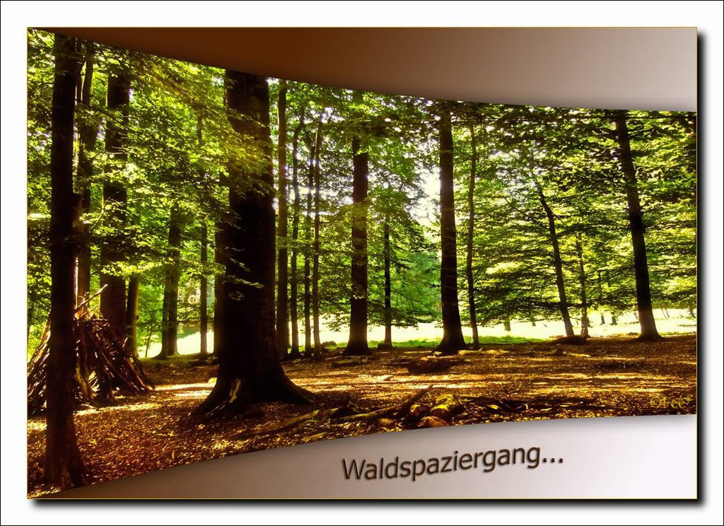 Waldspaziergang