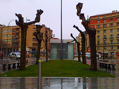 Pamplona: Av. Carlos III.