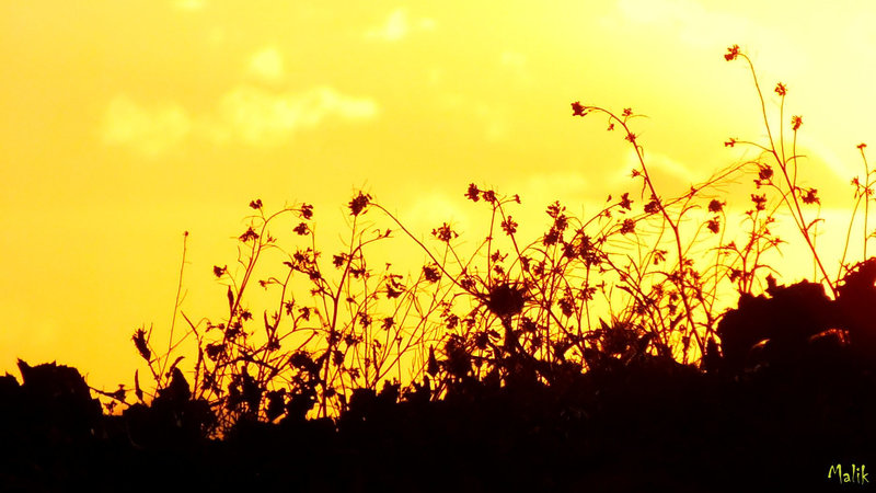 DSCF0027