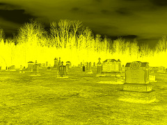 Immaculate heart of Mary cemetery - Churubusco. NY. USA.  March  29th 2009- Négatif colorisé en jaune