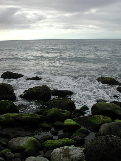 martinique (135)